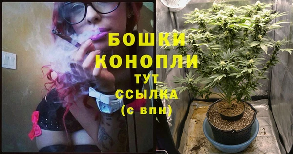 не бодяженный Арсеньев
